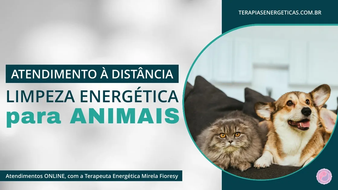 Limpeza Energética de Animais à Distância
